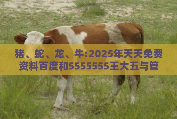 猪、蛇、龙、牛:2025年天天免费资料百度和5555555王大五与管家婆谜语怎么猜,拒绝虚假的假幌子-改进解答、专家解析解释与落实​