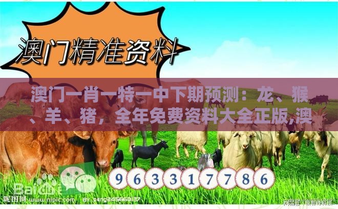澳门一肖一特一中下期预测:龙、猴、羊、猪,全年免费资料大全正版,澳门十二生肖游戏规则上中下期韧性剖析、解释与落实-拒绝欺骗性承诺