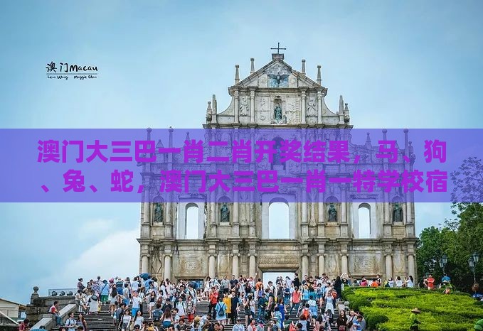 澳门大三巴一肖二肖开奖结果,马、狗、兔、蛇,澳门大三巴一肖一特学校宿舍条件详细解答、解释与落实,抵制欺骗承诺套路