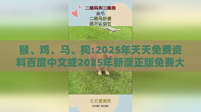 猴、鸡、马、狗:2025年天天免费资料百度中文或2025年新澳正版免费大全,效能解读、解释与落实-杜绝虚假的假营销幻