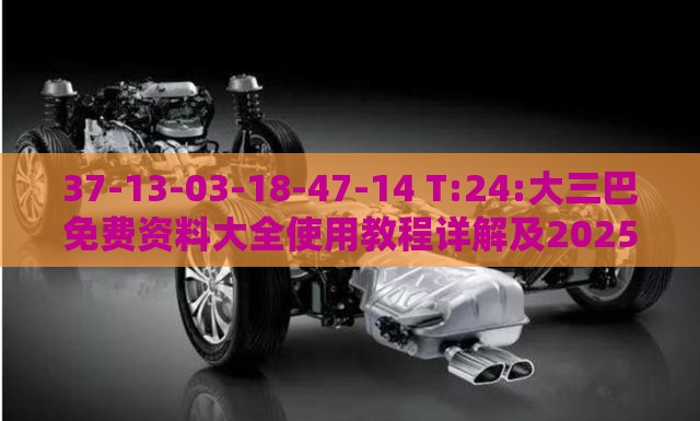37-13-03-18-47-14 T:24:大三巴免费资料大全使用教程详解及2025芳草地资料大全免费正版释义和警惕误导的假宣传,效能解读、解释与落实