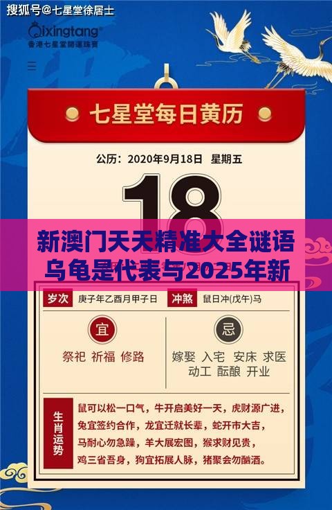 新澳门天天精准大全谜语乌龟是代表与2025年新奥正版免费大全-百度和小心伪假宣传陷阱-案例解答、专家解析解释与落实