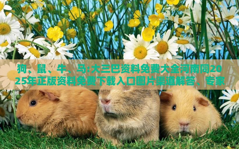 狗、鼠、牛、马:大三巴资料免费大全河南同2025年正版资料免费下载入口图片渠道解答、专家解读解释与落实,小心虚假迷障之中