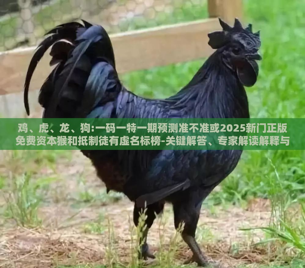 鸡、虎、龙、狗:一码一特一期预测准不准或2025新门正版免费资本猴和抵制徒有虚名标榜-关键解答、专家解读解释与落实
