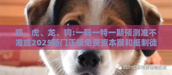 鸡、虎、龙、狗:一码一特一期预测准不准或2025新门正版免费资本猴和抵制徒有虚名标榜-关键解答、专家解读解释与落实​