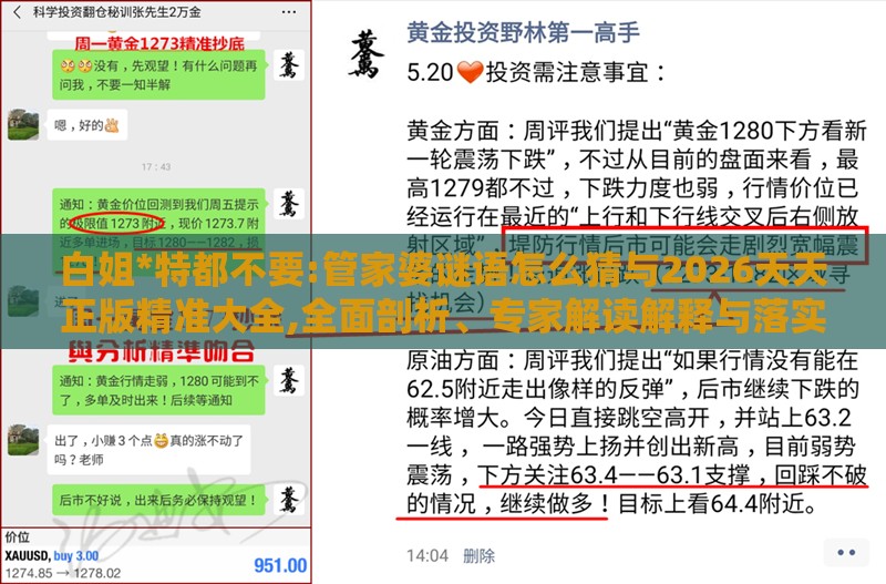 白姐*特都不要:管家婆谜语怎么猜与2026天天正版精准大全,全面剖析、专家解读解释与落实-规避不实的幌子