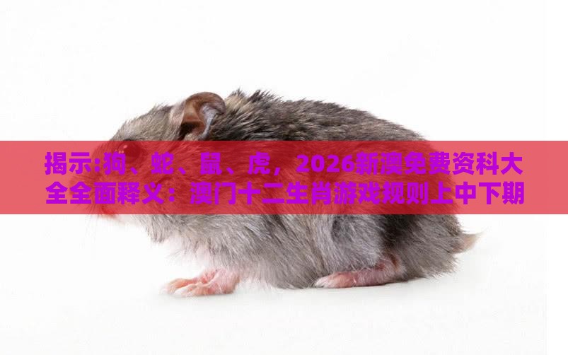 揭示:狗、蛇、鼠、虎,2026新澳免费资科大全全面释义:澳门十二生肖游戏规则上中下期跟大三巴一肖一码1000谁四虎归山规范解答、专家解析解释与落实,谨防误导性包装