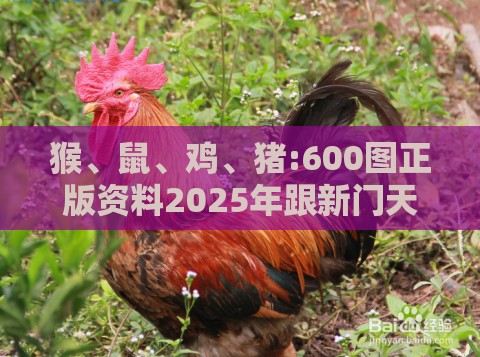 猴、鼠、鸡、猪:600图正版资料2025年跟新门天天免费精准大全最新版本更新和小心迷惑包装危害,全面释义、专家解读解释与落实