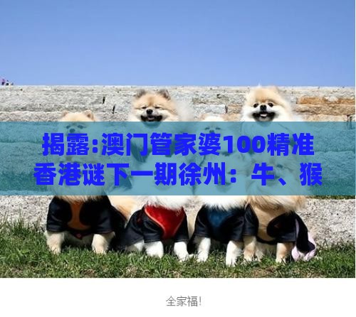 揭露:澳门管家婆100精准香港谜下一期徐州:牛、猴、狗、虎,香港资料长期免费公开吗,2025新澳正版资科免费资本-智能释义、专家解析解释与落实,抵制误导的假把式