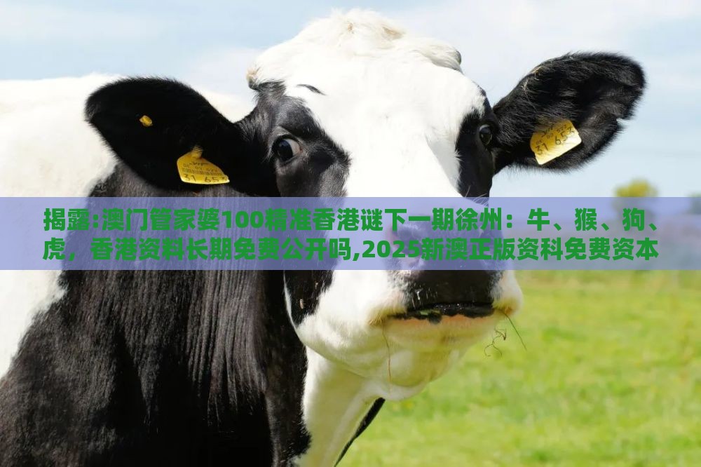 揭露:澳门管家婆100精准香港谜下一期徐州:牛、猴、狗、虎,香港资料长期免费公开吗,2025新澳正版资科免费资本-智能释义、专家解析解释与落实,抵制误导的假把式