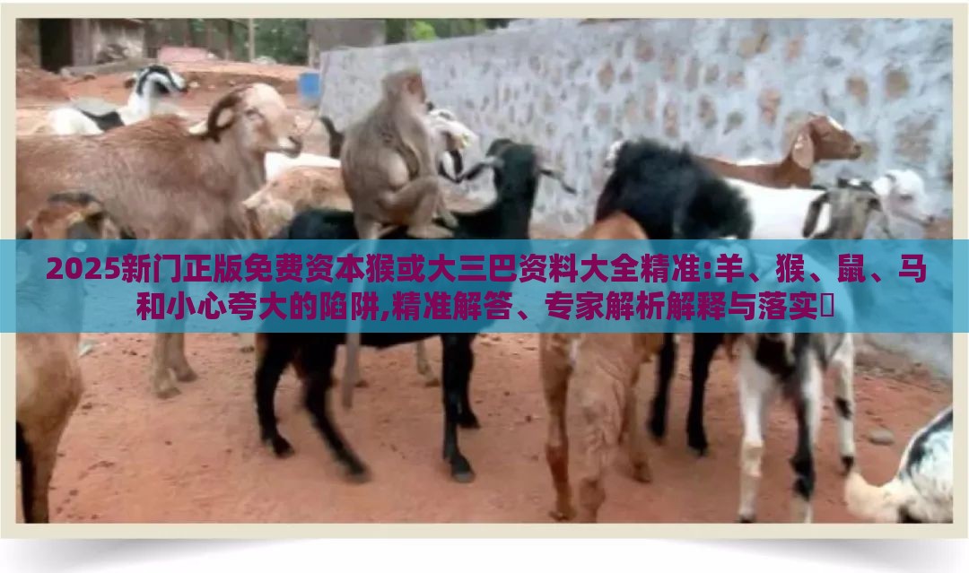 2025新门正版免费资本猴或大三巴资料大全精准:羊、猴、鼠、马和小心夸大的陷阱,精准解答、专家解析解释与落实​