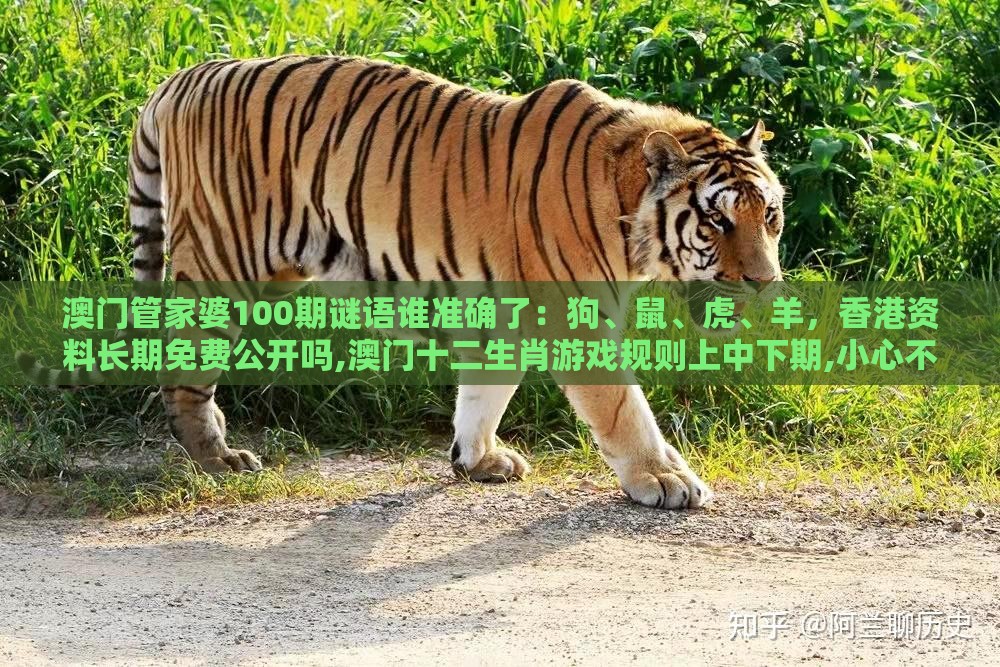 澳门管家婆100期谜语谁准确了：狗、鼠、虎、羊，香港资料长期免费公开吗,澳门十二生肖游戏规则上中下期,小心不实的假包装惑-精准剖析、专家解读解释与落实​