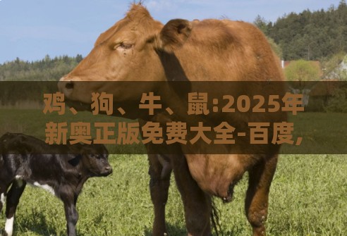 鸡、狗、牛、鼠:2025年新奥正版免费大全-百度,新门内部资料免费公开效率解读、专家解析解释与落实-留心欺诈套路