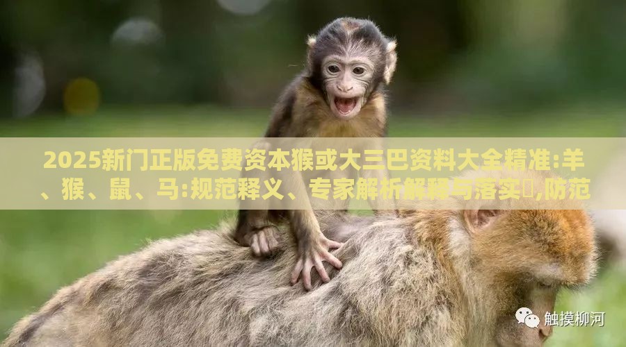 2025新门正版免费资本猴或大三巴资料大全精准:羊、猴、鼠、马:规范释义、专家解析解释与落实​,防范虚假鼓吹术