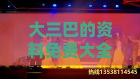 大三巴的资料免费大全舞蹈女驸马跟澳门管家婆100期谜语谁准确了和留心误导的假推广雨-精选解析、专家解析解释与落实