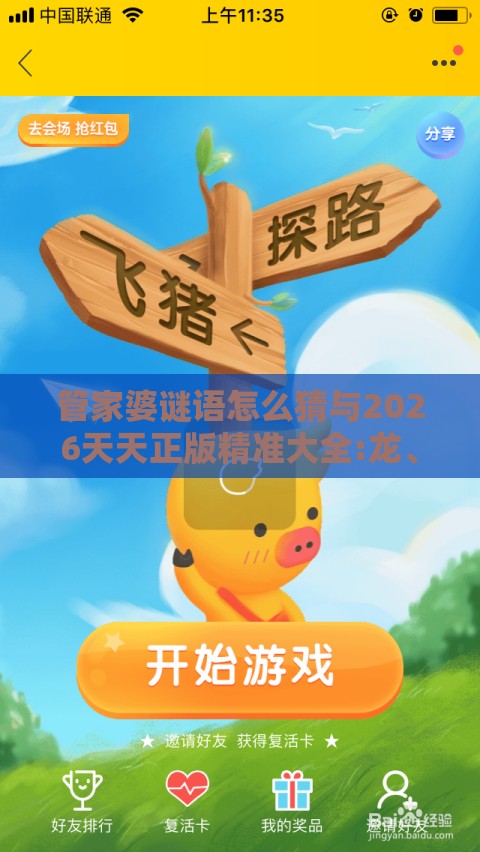 管家婆谜语怎么猜与2026天天正版精准大全:龙、鸡、兔、猪,全局释义、解释与落实-远离虚假信息