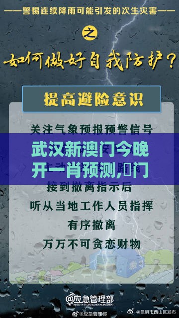 武汉新澳门今晚开一肖预测,澚门精准一肖一马和警惕虚假的假幌子迷,全局释义、专家解析解释与落实