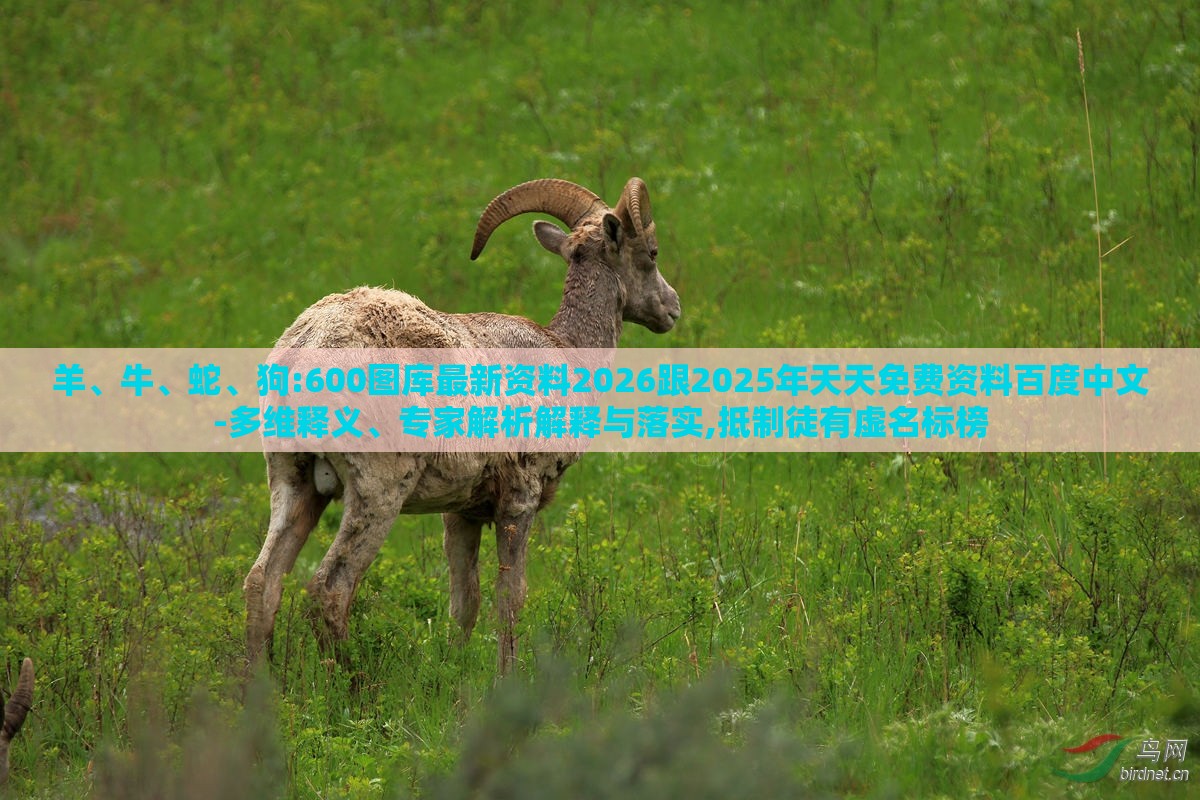 羊、牛、蛇、狗:600图库最新资料2026跟2025年天天免费资料百度中文-多维释义、专家解析解释与落实,抵制徒有虚名标榜