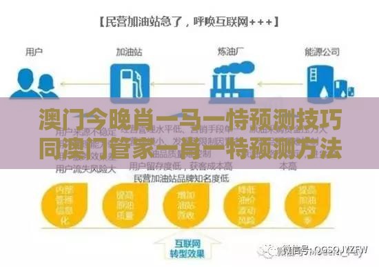 澳门今晚肖一马一恃预测技巧同澳门管家一肖一特预测方法理论解答、专家解析解释与落实​,留心好评返现造假