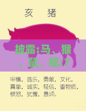 披露:马、猴、鼠、蛇:77777888888精准新版和澳门生肖彩谜语和留心误导的假幌子链,深入解答、解释与落实