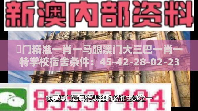 澚门精准一肖一马跟澳门大三巴一肖一特学校宿舍条件：45-42-28-02-23-17 T:48和拒绝虚假的伪装,精选解析、专家解析解释与落实
