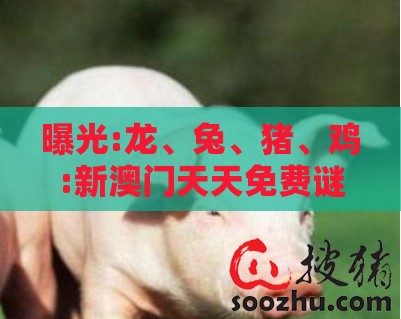 曝光:龙、兔、猪、鸡:新澳门天天免费谜语答案母雉勤生蛋和新澳门天天免费谜语答案母雉勤生蛋和警惕夸大其词宣传,直观释义、专家解读解释与落实​