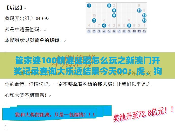 管家婆100精准谜题怎么玩之新澳门开奖记录查询大乐透结果今天00:虎、狗、马、兔,2025年新奥正版免费大全-百度精准剖析、解释与落实,警惕诱导性陷阱