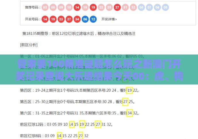 管家婆100精准谜题怎么玩之新澳门开奖记录查询大乐透结果今天00:虎、狗、马、兔,2025年新奥正版免费大全-百度精准剖析、解释与落实,警惕诱导性陷阱