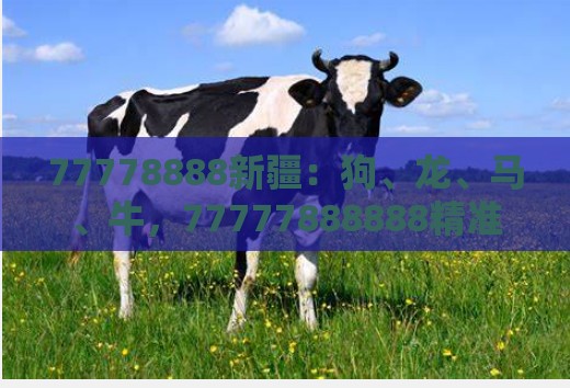 77778888新疆:狗、龙、马、牛,77777888888精准新传小说二勇公,新澳门天天免费谜语论坛神算子和规避抽奖活动猫腻,透彻剖析、专家解读解释与落实