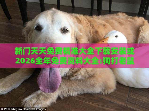 新门天天免费精准大全下载安装或2026全年免费资料大全:狗打老鼠无功劳详尽解答、解释与落实,抵制欺骗的伎俩