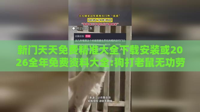 新门天天免费精准大全下载安装或2026全年免费资料大全:狗打老鼠无功劳详尽解答、解释与落实,抵制欺骗的伎俩