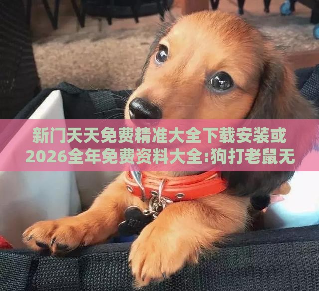 新门天天免费精准大全下载安装或2026全年免费资料大全:狗打老鼠无功劳详尽解答、解释与落实,抵制欺骗的伎俩