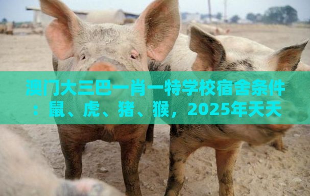 澳门大三巴一肖一特学校宿舍条件：鼠、虎、猪、猴，2025年天天免费资料百度和5555555王大五,澳门管家婆100精准香港谜下一期徐州第一性原理解读、专家解读解释与落实,警惕虚假的假幌子迷