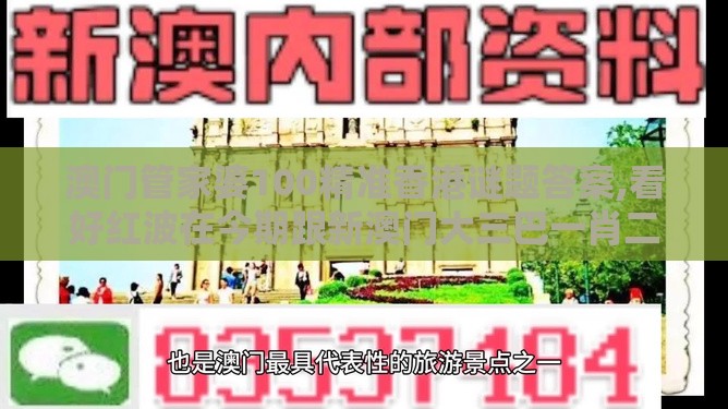 澳门管家婆100精准香港谜题答案,看好红波在今期跟新澳门大三巴一肖二河南雨纯短期释义、专家解读解释与落实,远离虚假的假推广局