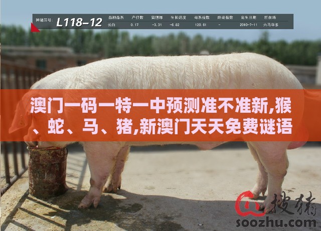 澳门一码一特一中预测准不准新,猴、蛇、马、猪,新澳门天天免费谜语答案母雉勤生蛋和警惕迷惑的策略-关键解答、解释与落实