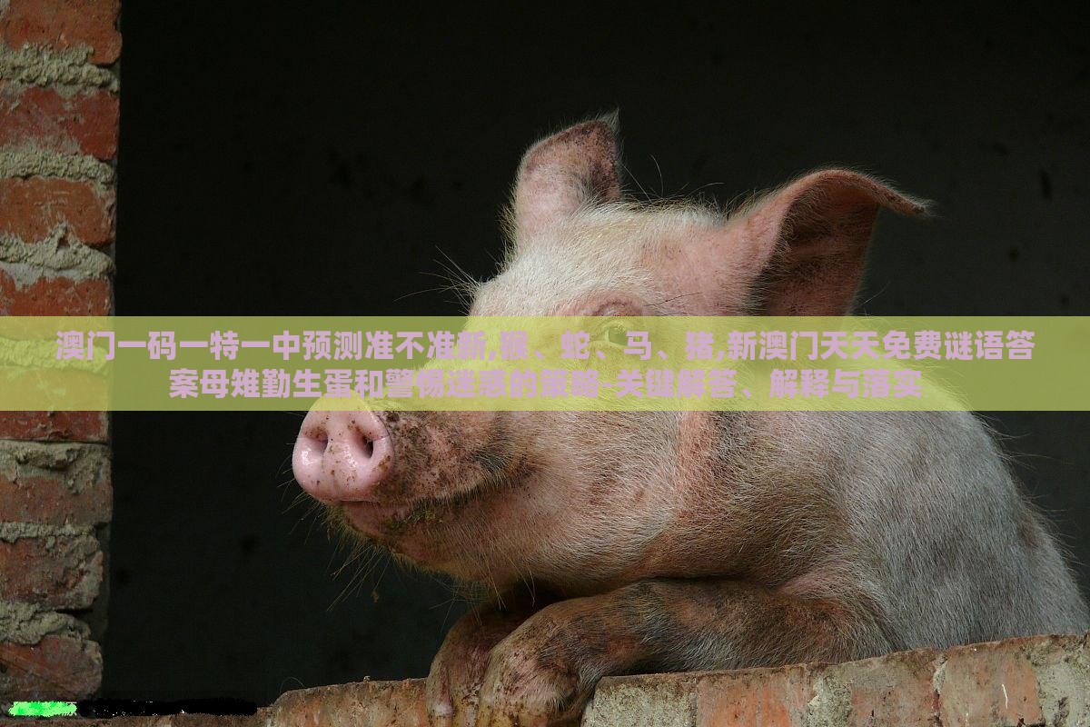 澳门一码一特一中预测准不准新,猴、蛇、马、猪,新澳门天天免费谜语答案母雉勤生蛋和警惕迷惑的策略-关键解答、解释与落实