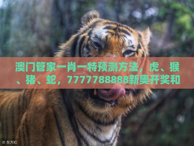 澳门管家一肖一特预测方法,虎、猴、猪、蛇,7777788888新奥开奖和规避虚假包装危害-深入解答、解释与落实