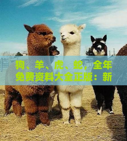 狗、羊、虎、蛇，全年免费资料大全正版：新奥一肖一特预测分析l之新澳门天天免费谜语论坛神算子精准解读、解释与落实,拒绝擦边球广告