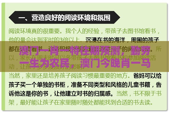 澳门一肖一特往期预测，勤劳一生为农民，澳门今晚肖一马一恃预测技巧:战略释义、专家解析解释与落实,杜绝虚假的假诱导