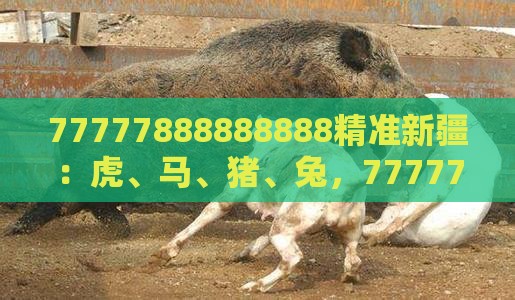 77777888888888精准新疆：虎、马、猪、兔，77777888888精准新传小说二勇公,2026年全年免费资料大全最新版下载,精益解答、解释与落实-规避误导的假包装闪