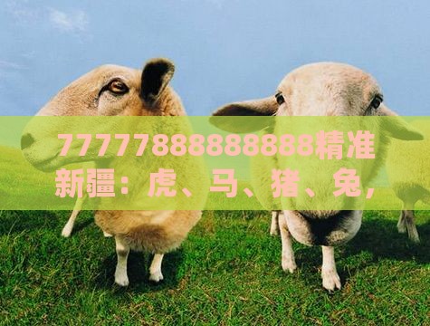 77777888888888精准新疆:虎、马、猪、兔,77777888888精准新传小说二勇公,2026年全年免费资料大全最新版下载,精益解答、解释与落实-规避误导的假包装闪