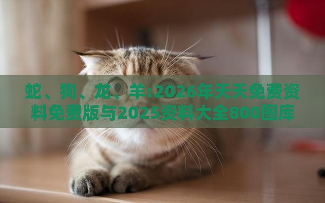 蛇、狗、龙、羊:2026年天天免费资料免费版与2025资料大全800图库,行业释义、专家解析解释与落实-谨防华而不实包装