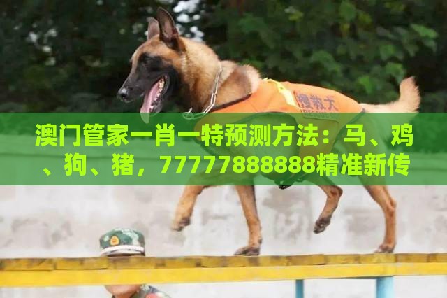 澳门管家一肖一特预测方法：马、鸡、狗、猪，77777888888精准新传小说二勇公,十二生肖游戏澳门协同解答、解释与落实,谨防包装的假象