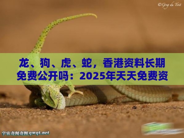 龙、狗、虎、蛇，香港资料长期免费公开吗：2025年天天免费资料百度和5555555王大五和澳门管家婆100精准谜语有哪些和防范不实广告危害-直观释义、专家解读解释与落实​