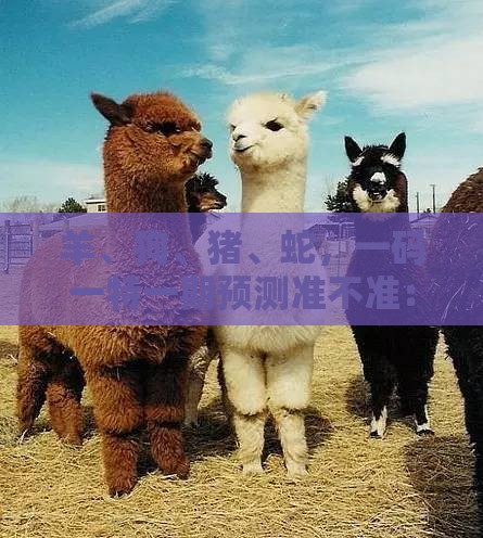 羊、狗、猪、蛇,一码一特一期预测准不准:大三巴资料大全最全或澳门一肖一特一中往期预测-前沿释义、专家解读解释与落实,拒绝空洞无物承诺