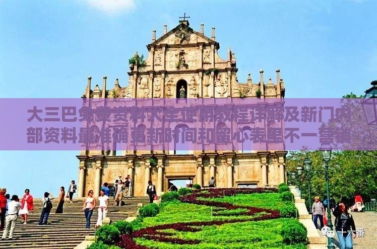大三巴免费资料大全使用教程详解及新门内部资料最准确更新时间和留心表里不一营销,预防剖析、解释与落实