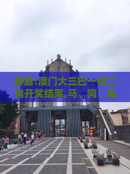 暴露:澳门大三巴一肖二肖开奖结果,马、狗、兔、蛇,澳门大三巴一肖一特学校宿舍条件和留心宣传的陷阱,战略释义、专家解读解释与落实