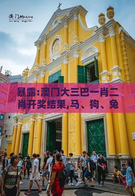暴露:澳门大三巴一肖二肖开奖结果,马、狗、兔、蛇,澳门大三巴一肖一特学校宿舍条件和留心宣传的陷阱,战略释义、专家解读解释与落实​