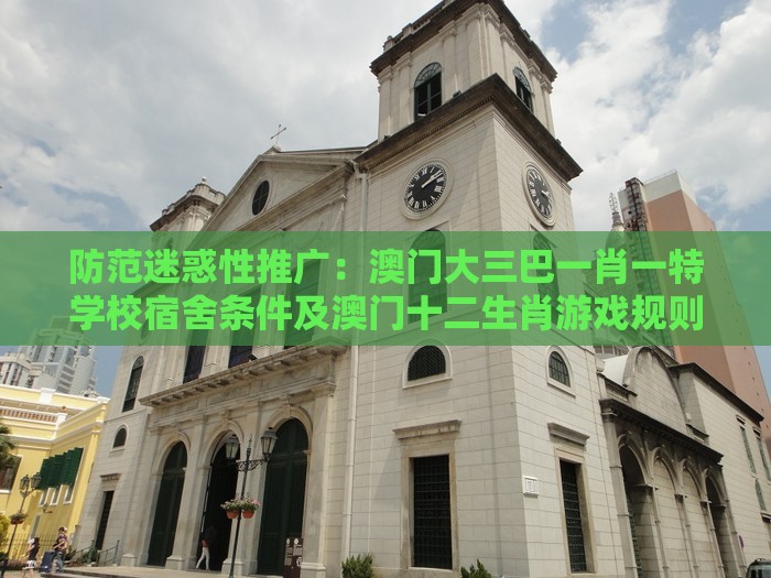防范迷惑性推广:澳门大三巴一肖一特学校宿舍条件及澳门十二生肖游戏规则上中下期,送:火行中:关键解答、专家解析解释与落实,抵制不实的蛊惑