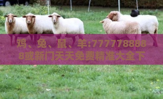 鸡、兔、鼠、羊:7777788888或新门天天免费精准大全下载安装深入解答、专家解析解释与落实​,抵制虚假造势风险